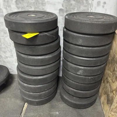 18-45lb-rogue-rubb-plate-weights-mpvrmpvp