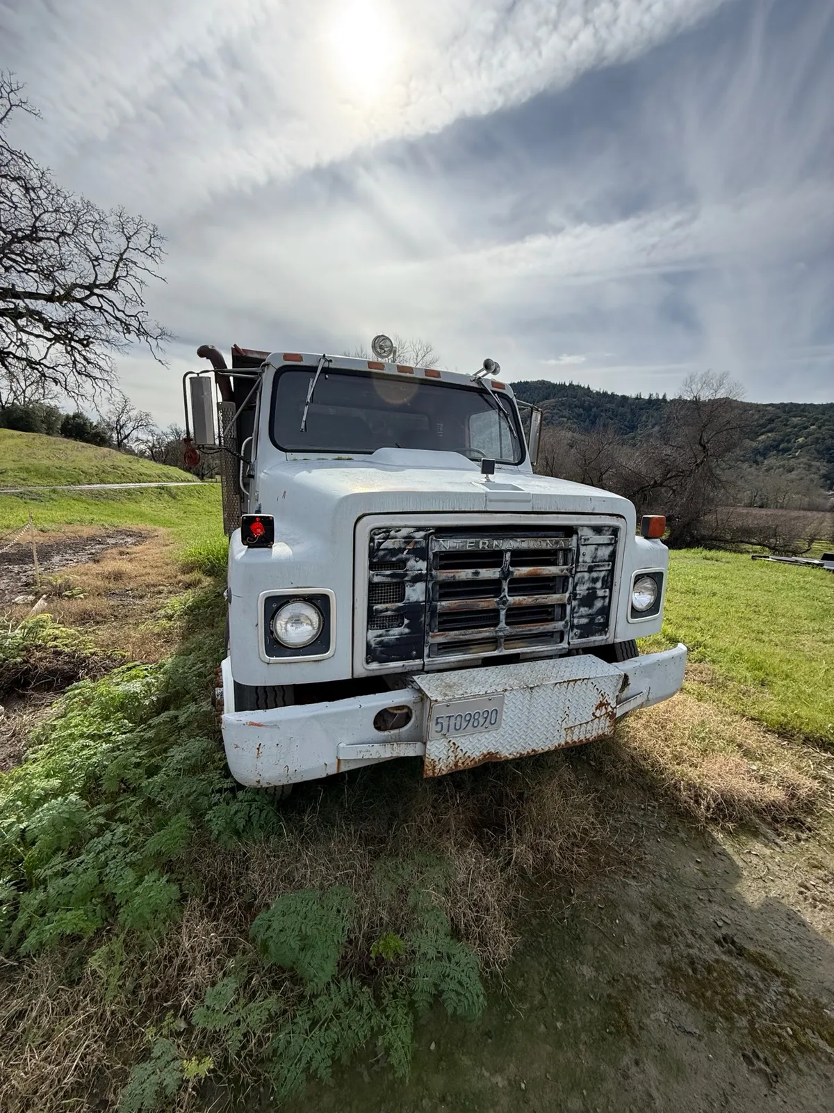 1981 International Dump Truck